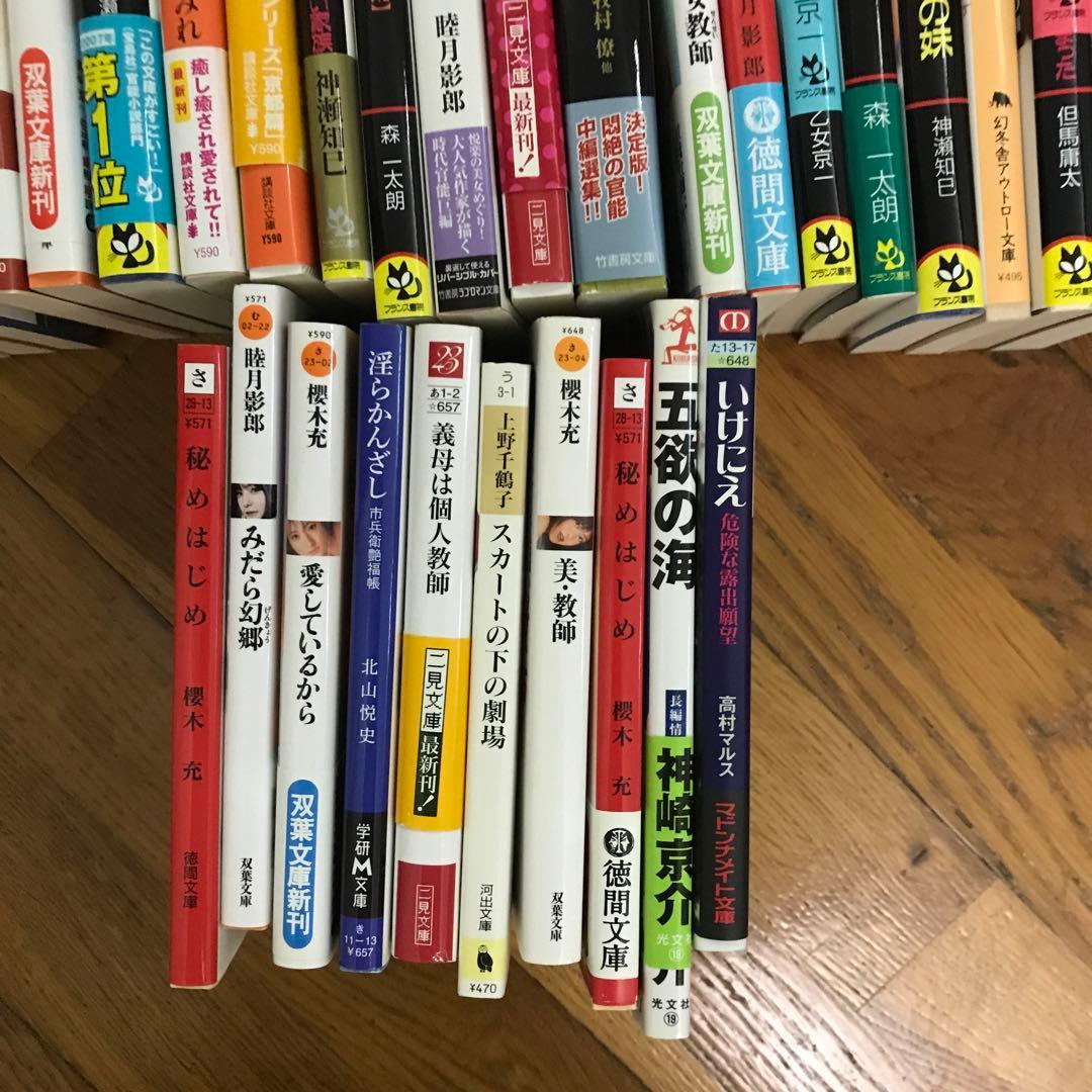 官能小説まとめ売り⑧ 66冊　フランス書院その他あり