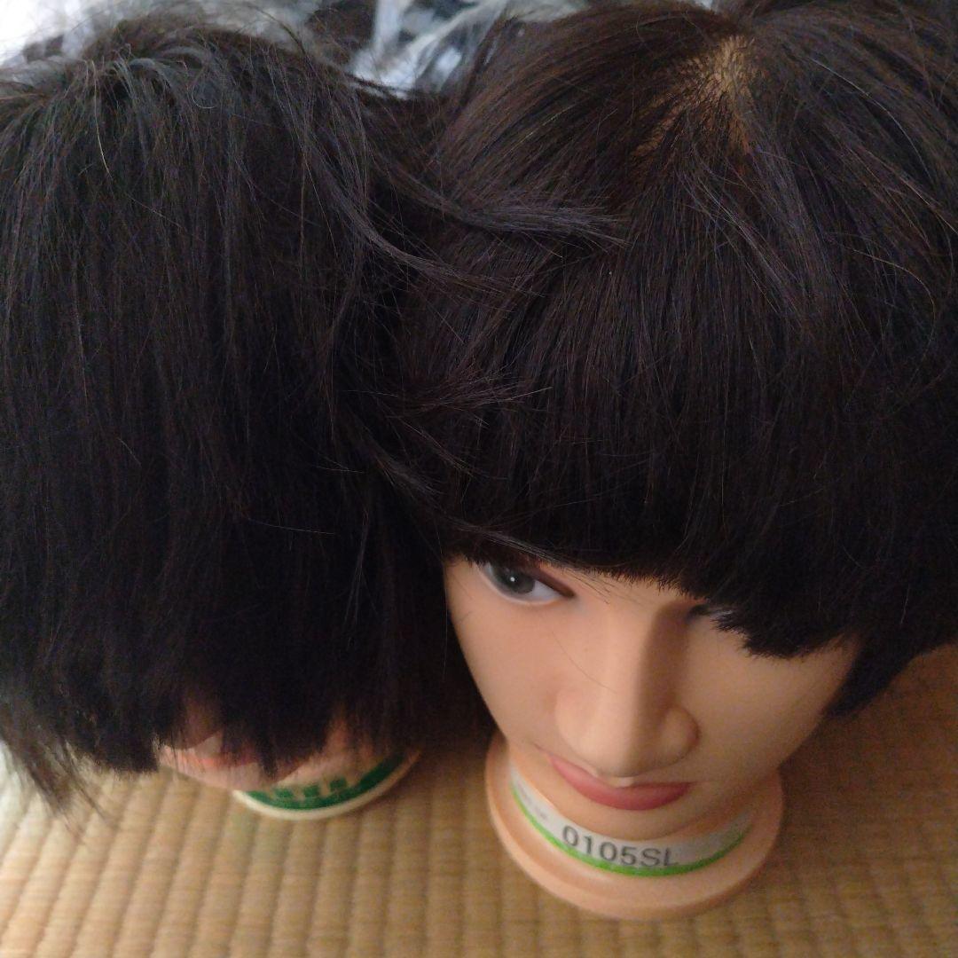 美容師国家試験練習用 ウィッグ10体 カットウィッグ 美容師 マイスター 国家試験 練習 美容師国家試験 練習