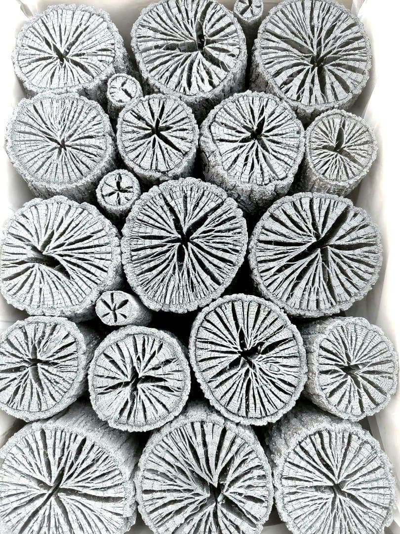 たーちん①【 伊予の切炭 】太め菊炭特選×2箱 伊予の切炭 】約6kg クヌギ菊炭×2箱