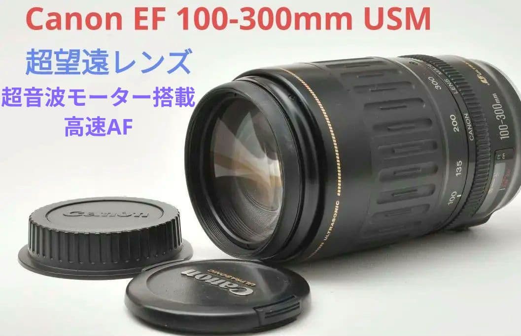 4月15日限定【超望遠レンズ】Canon EF 75-300mm Ⅱ USM Canon EF 75-300mm F/4-5.6 III USM Lens, USA - Adorama