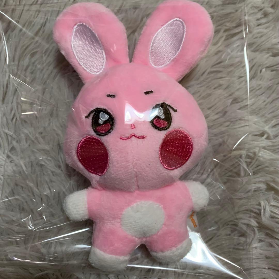 ANITEEZ アチズ ソンファ トンビョリ ぬいぐるみ - メルカリ