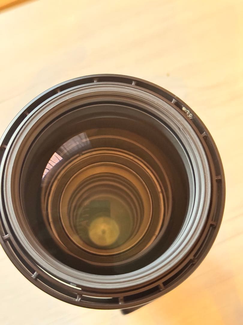 シグマ150-600mm F5-6.3 CONTEMPORARY Nikon