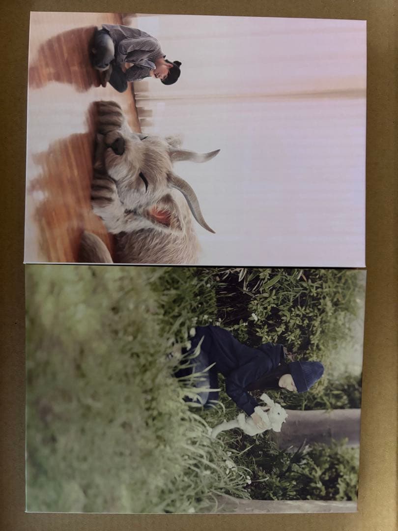 スピッツ 醒めない デラックスエディション FC限定盤 2CD+DVD