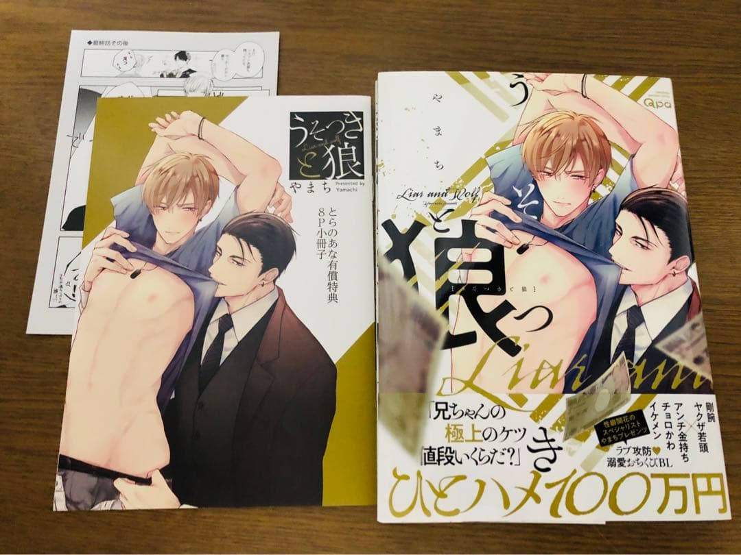 BLコミックまとめ④　※2冊〜