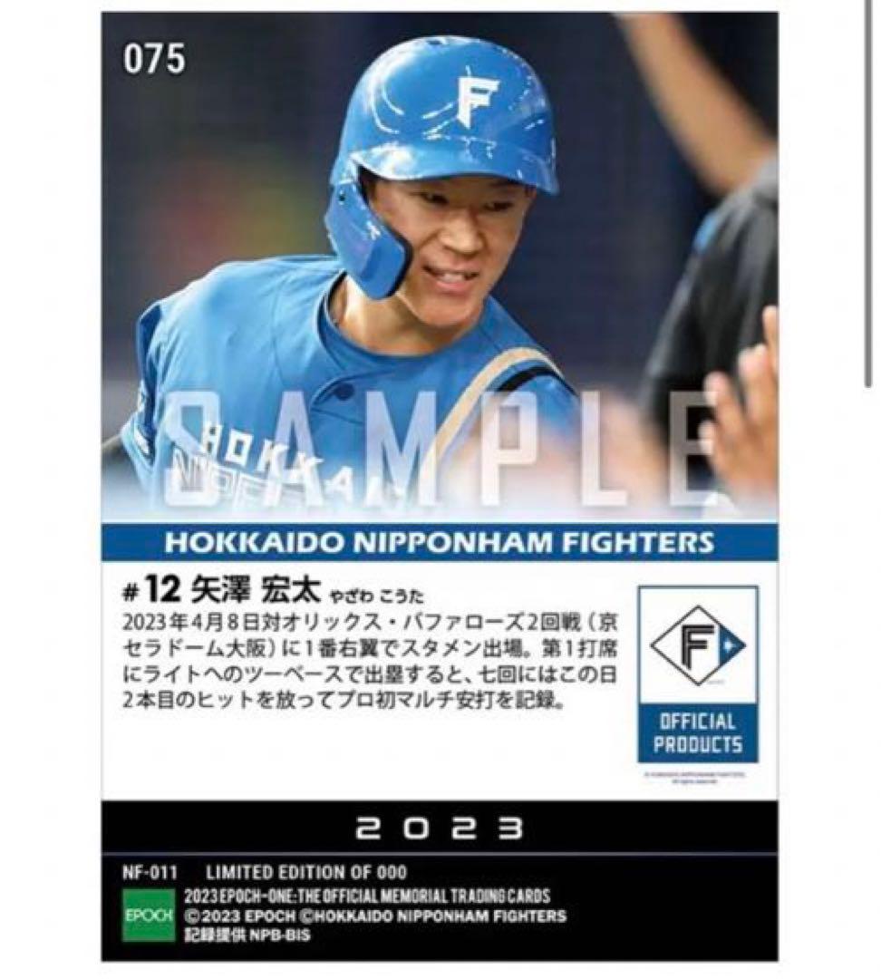 「5枚セット」RC【矢澤宏太】
