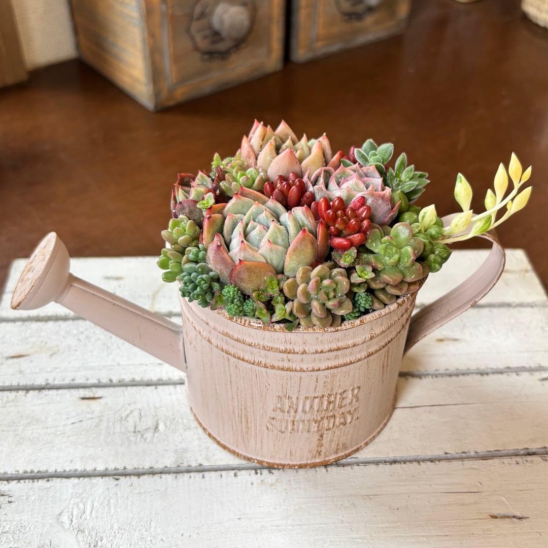 可愛い寄せ植え 多肉植物寄せ植え ブリキポット ピンク 取っ手付き