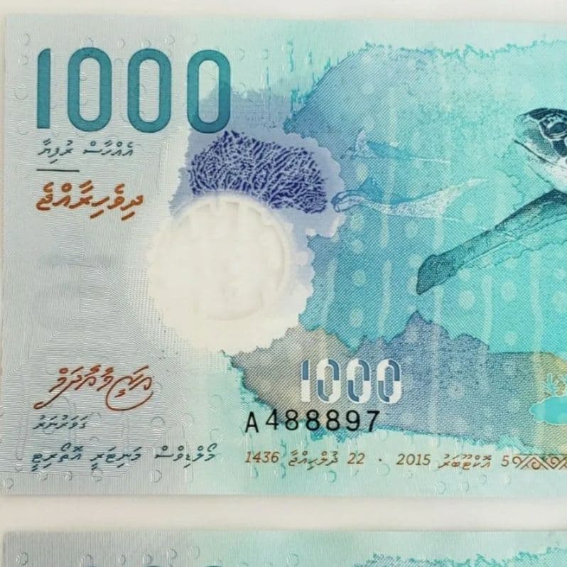 モルディブ 1000Rufiyaa 紙幣 ジンベイザメ ウミガメ 2枚セット ④
