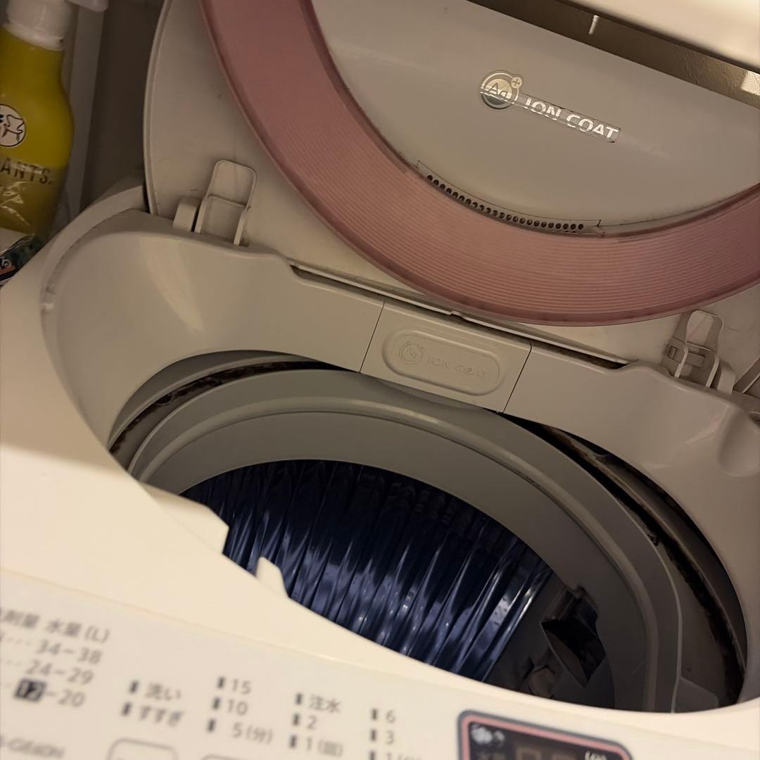 SHARP ES-GE60N 6.0kg 洗濯機 本体