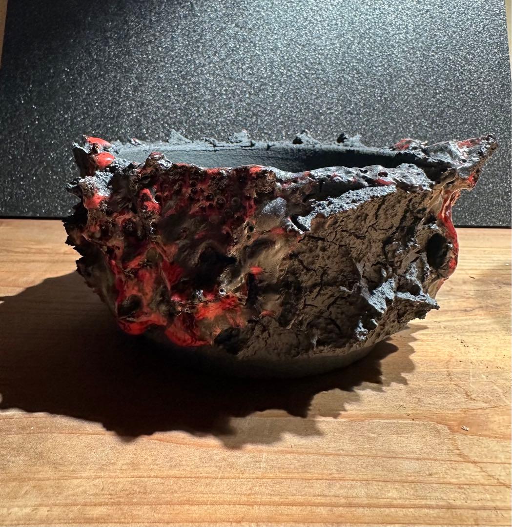 GOAT GODZILLA RED ゴジラ鉢 グラキリス アガベ パキプス - メルカリ