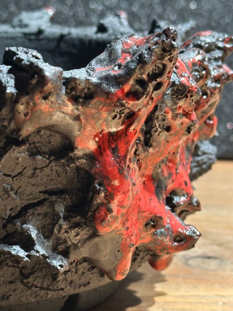 GOAT GODZILLA RED ゴジラ鉢 グラキリス アガベ パキプス - メルカリ