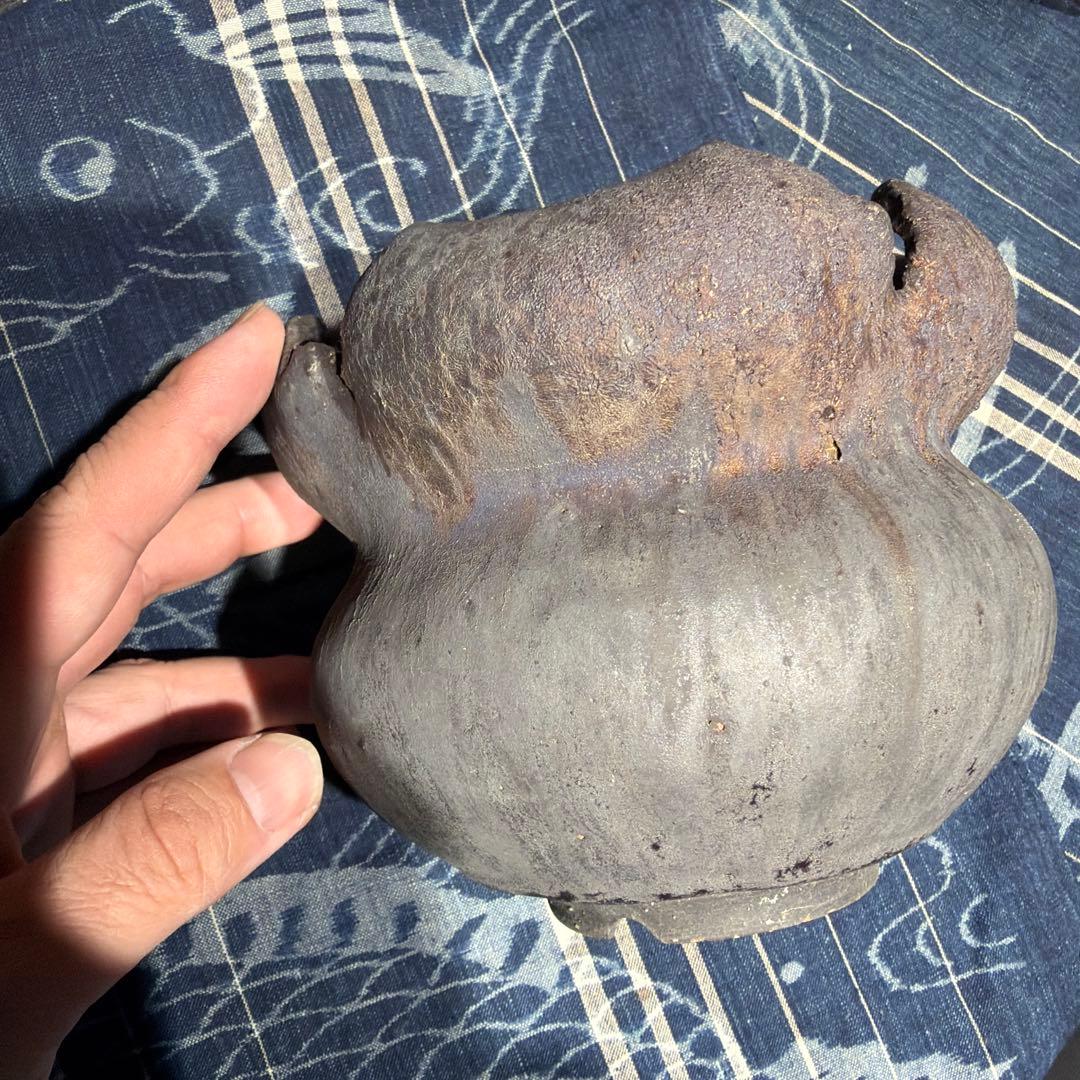 細川政己　植木鉢　中古 中古 三州みやび鉢 rawlifefactory 細川政己 グラキリスパキプス