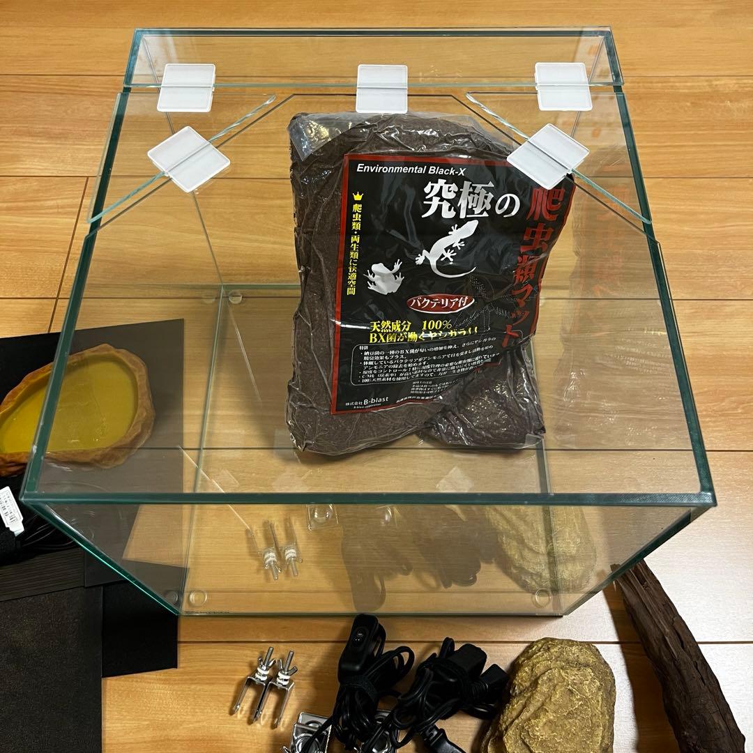 爬虫類 飼育セット11点 カナヘビ ニホントカゲ - メルカリ