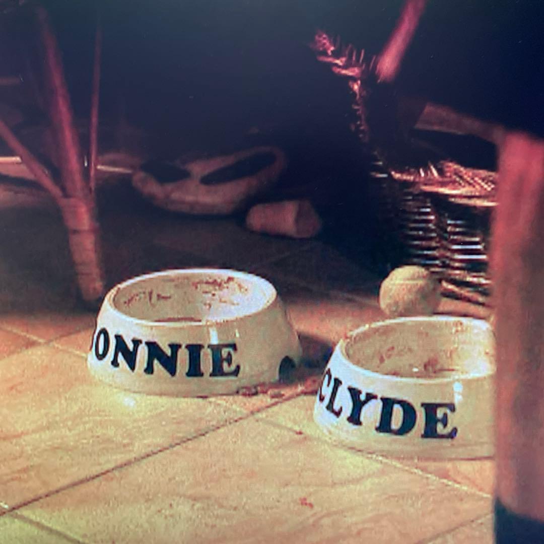 【廃盤】セル版DVD バイオレンス・レイク('08英)