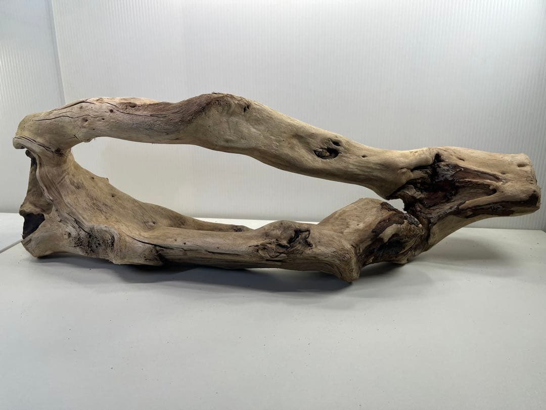 n85大型流木 アク抜き済み 爬虫類シェルター 登り木 レイアウト用