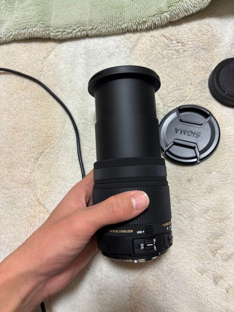 【最終値下げ❗️】SIGMA 18-250mm F3.5-6.3 DC sony用