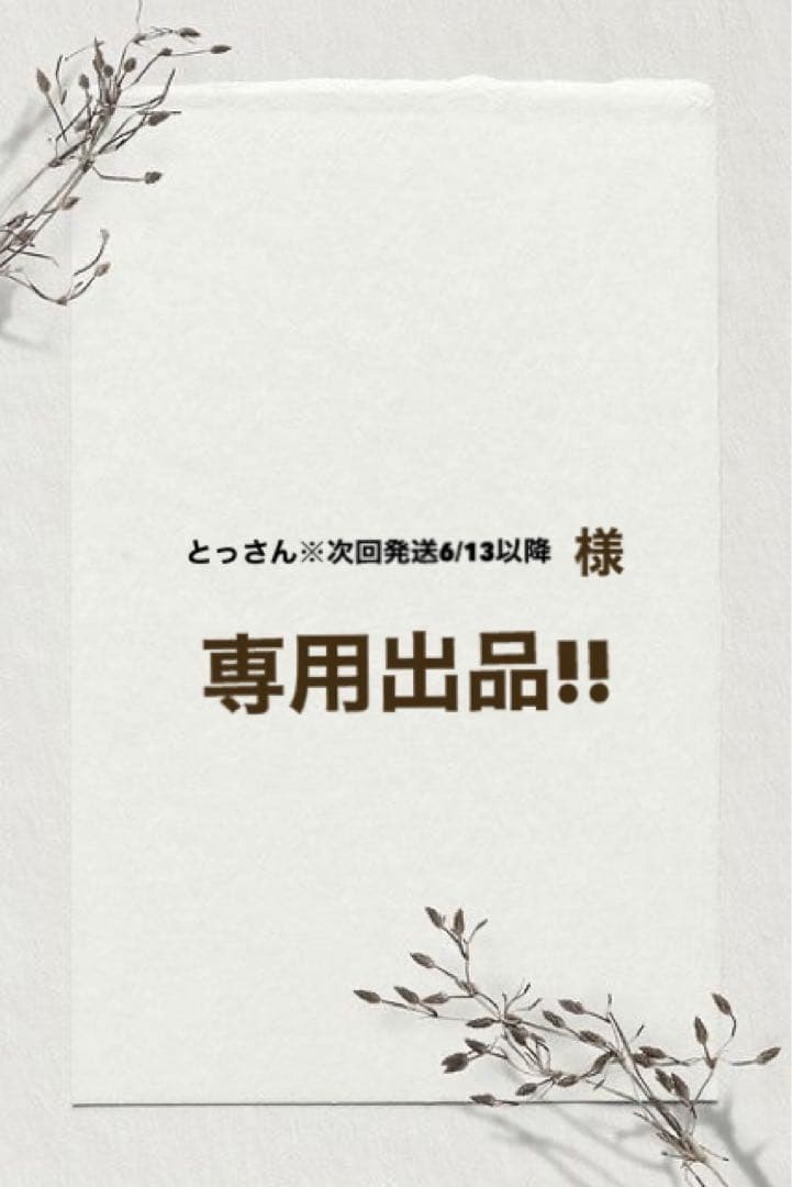 とっさん※次回発送6/13以降 出品 楽天市場】注意書き > 弊社からの発送について（配送予定