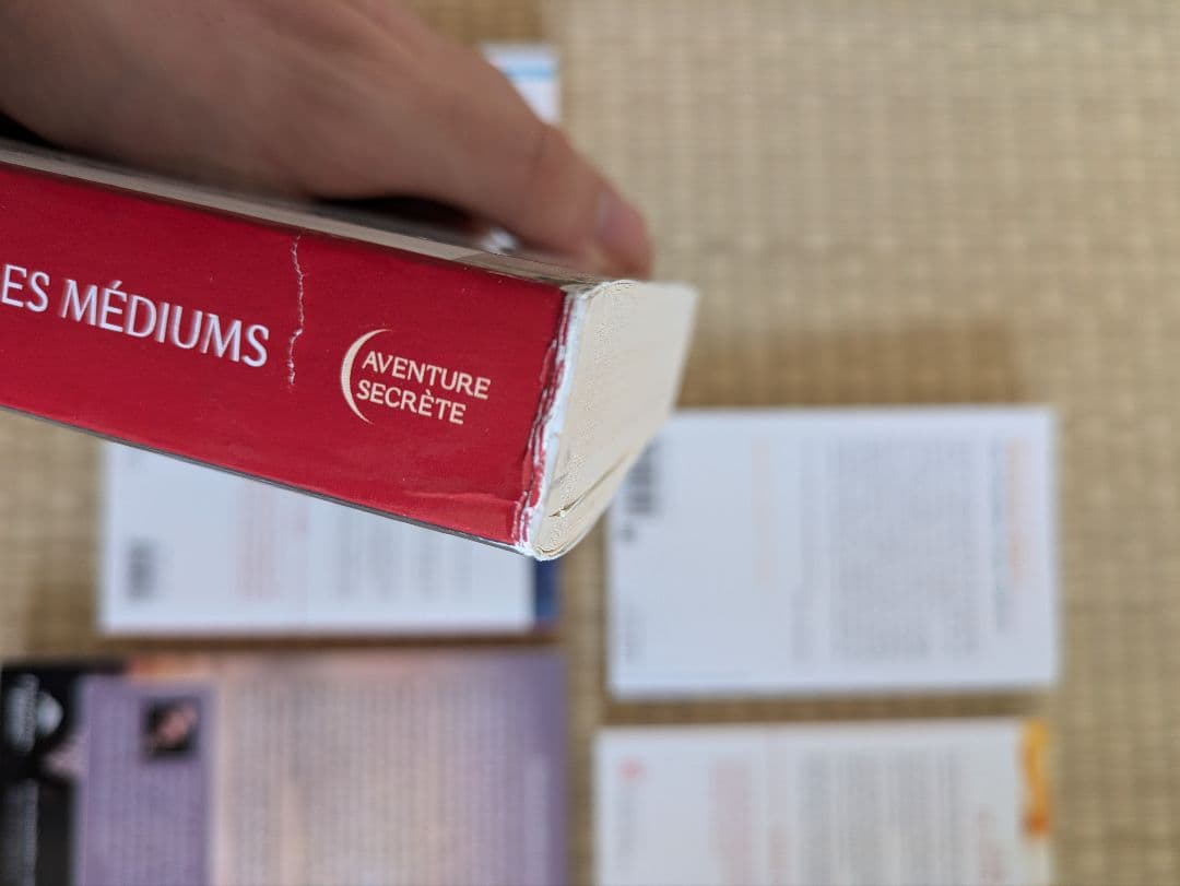 フランス語の本6冊セット、テーマ→精神性、心霊術、臨死体験、死後の世界、霊媒