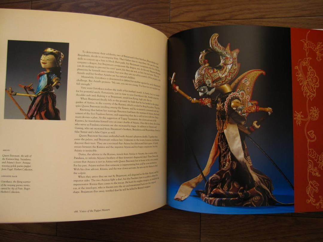 Voices of the Puppet Masters インドネシア 人形