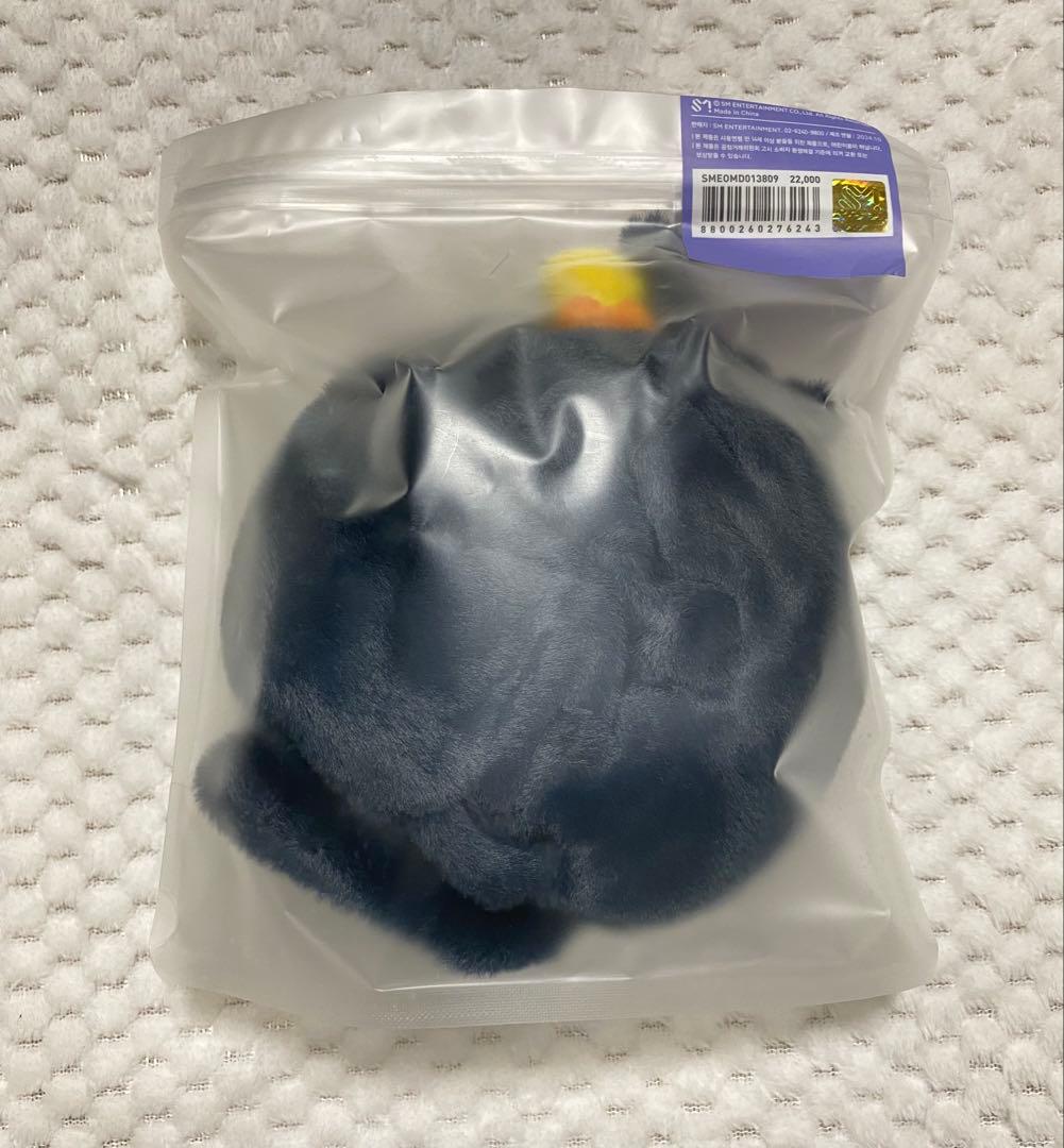 RIIZE ウォンビン トニャンドク ペンライトカバー - メルカリ