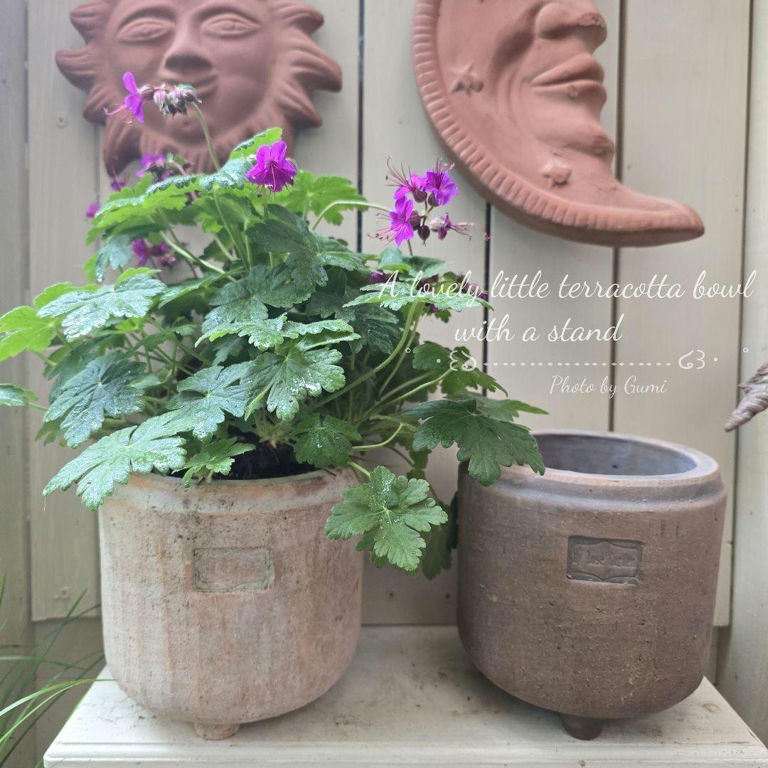 トミー様、いつも本当にありがとうございます✿*:♡