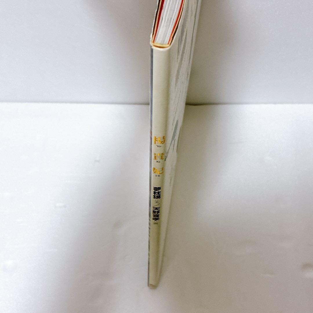 楊貴妃 天野喜孝画集 夢枕獏 文 ポスター付き