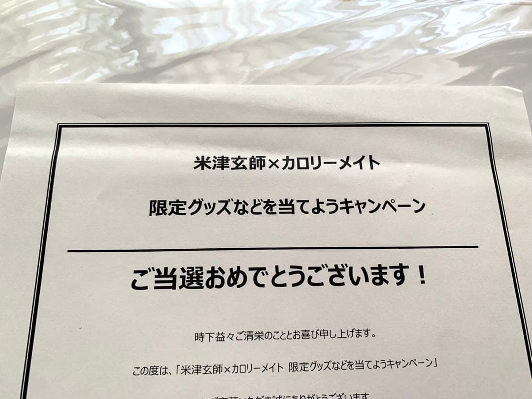 米津玄師 カロリーメイト ポスター&クリアファイル - メルカリ