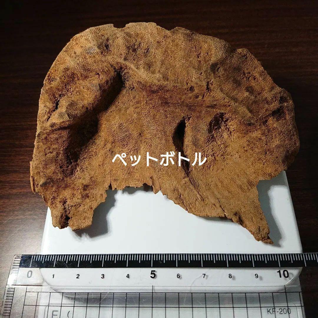 香木 沈香 伽羅 聞香◎品名:ベトナム・フエ産 15.6g