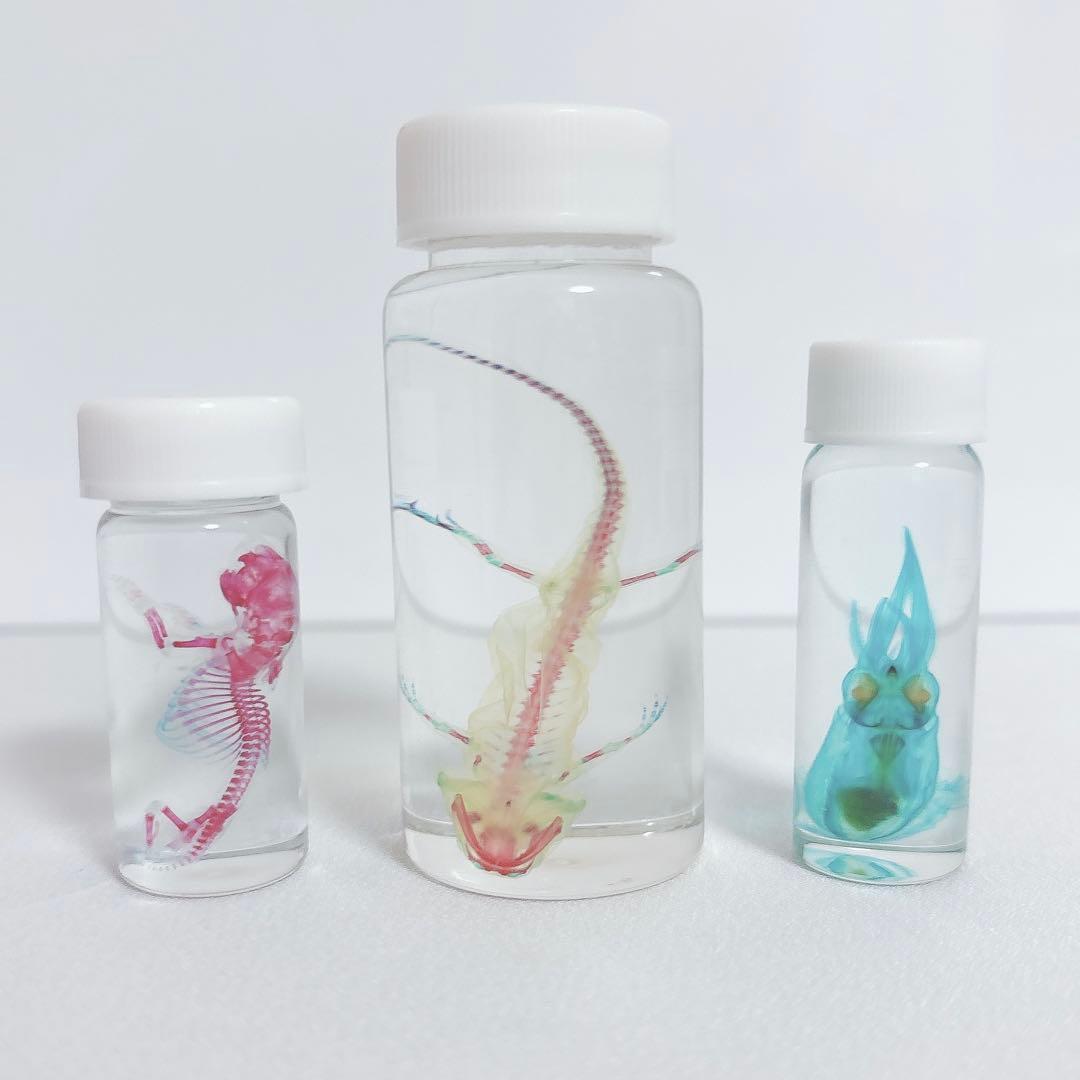 標本用品 KT 6026 LIGHTNING NEO | LEGEND WALKER | スーツケース | T&S