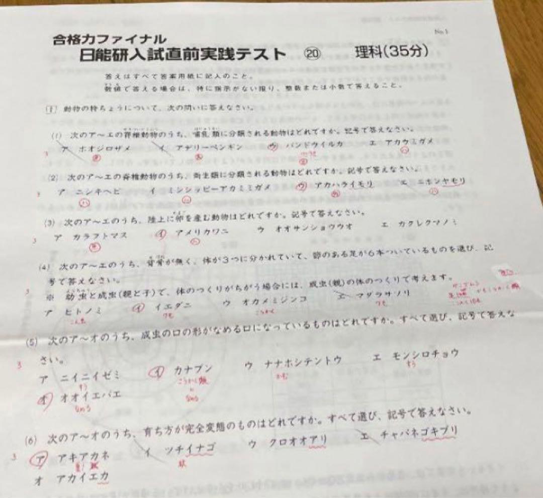 日能研6年 合格力完成テストファイナル256 入試直前実践テスト 最終