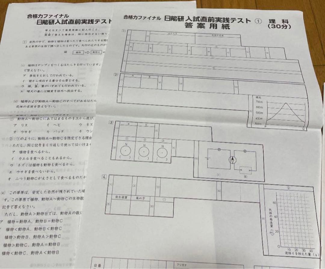 日能研6年 合格力完成テストファイナル256 入試直前実践テスト 最終