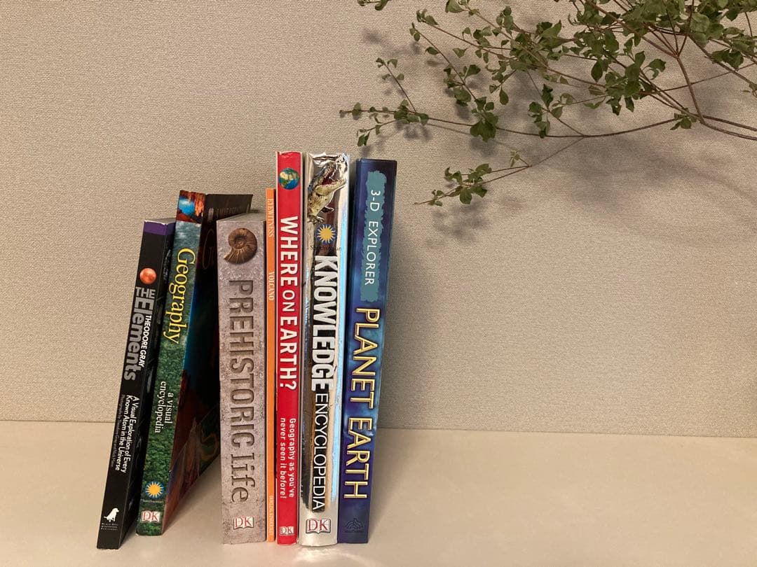 洋書多読　図鑑など7冊　恐竜　鉱物　古生物encyclopedia 人体 洋書多読 図鑑など7冊 恐竜 鉱物 古生物encyclopedia 人体 - メルカリ