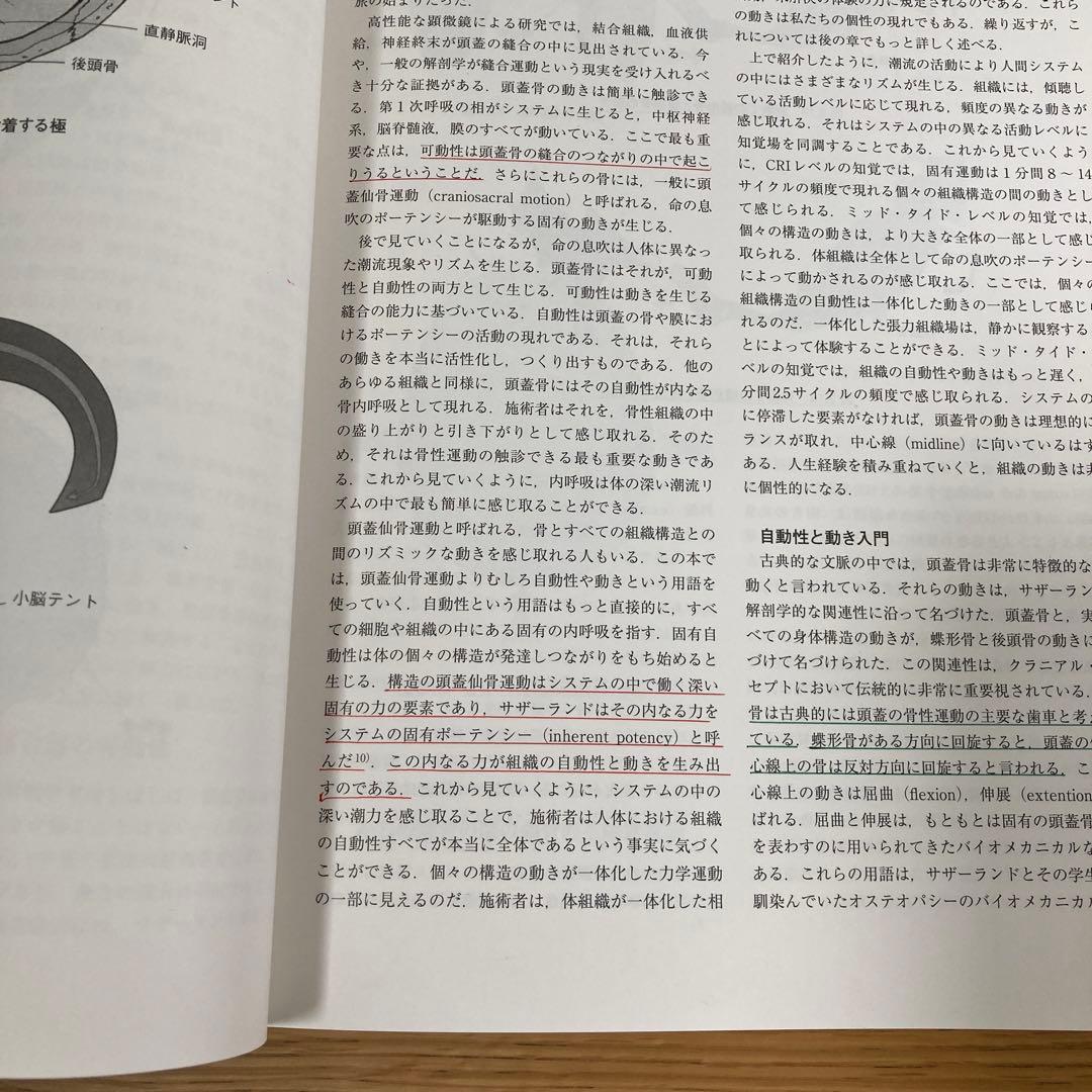 クラニオセイクラル・バイオダイナミクスVOL.1