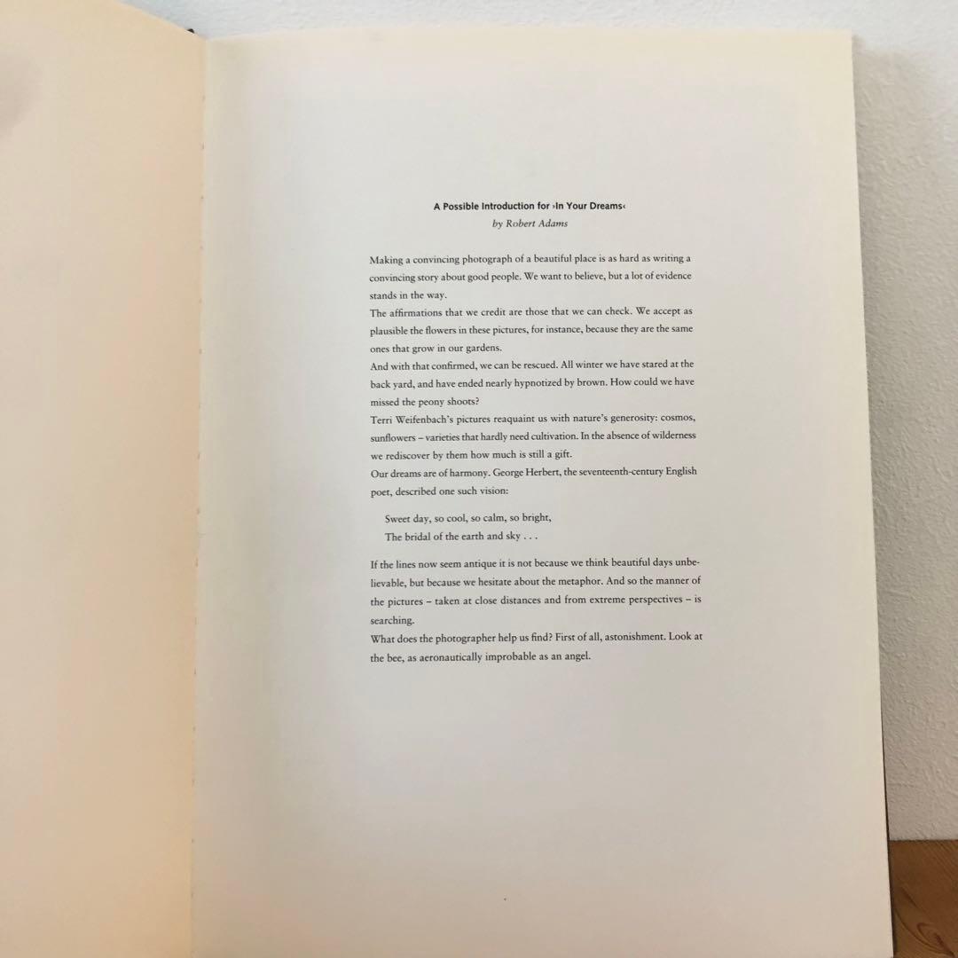 IN YOUR DREAMS／TERRI WEIFENBACH 写真集