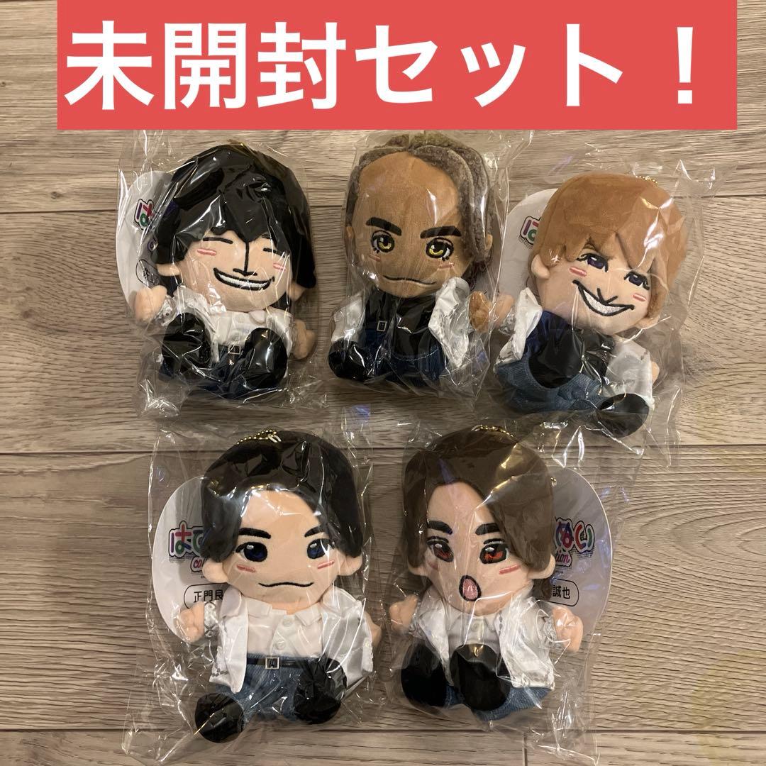 はぴぬい Aぇ! group 5体セット - メルカリ