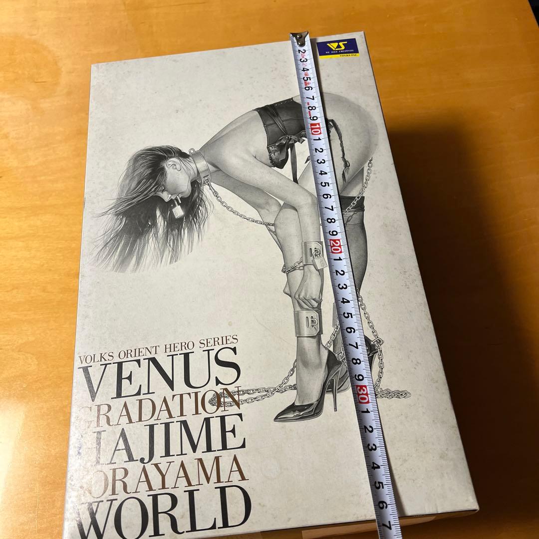 VENUS GRADATION HAJIME SORAYAMA WORLD空山基 - メルカリ