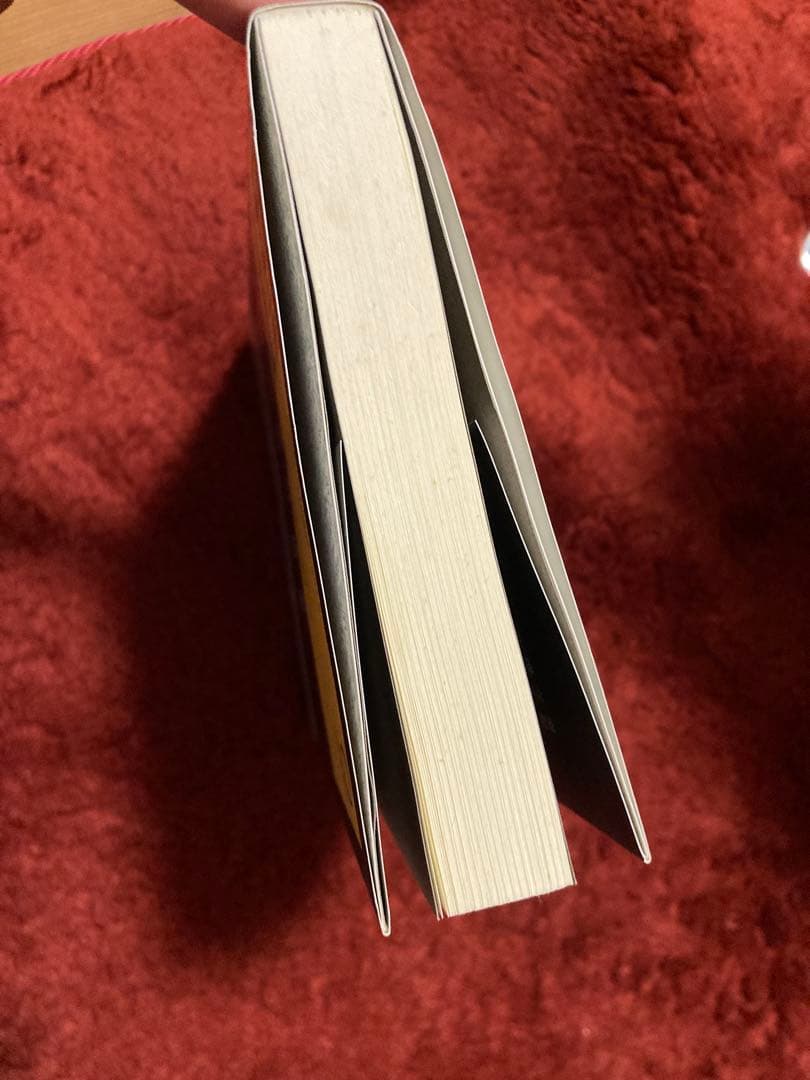 狂鬼降臨 友成純一著 文学