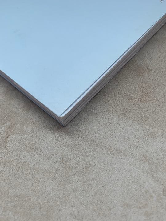 ライアン・マッギンレー 写真集