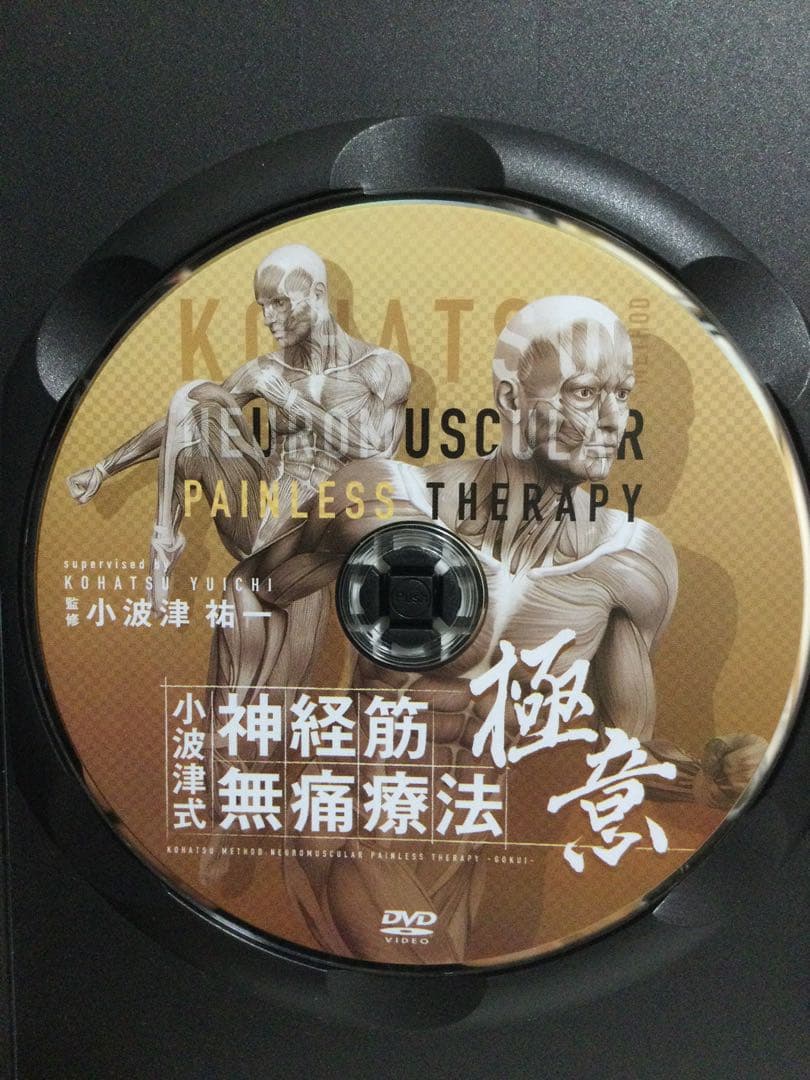 小波津式神経筋無痛療法 第一弾 小波津祐一 DVD 整体 - メルカリ