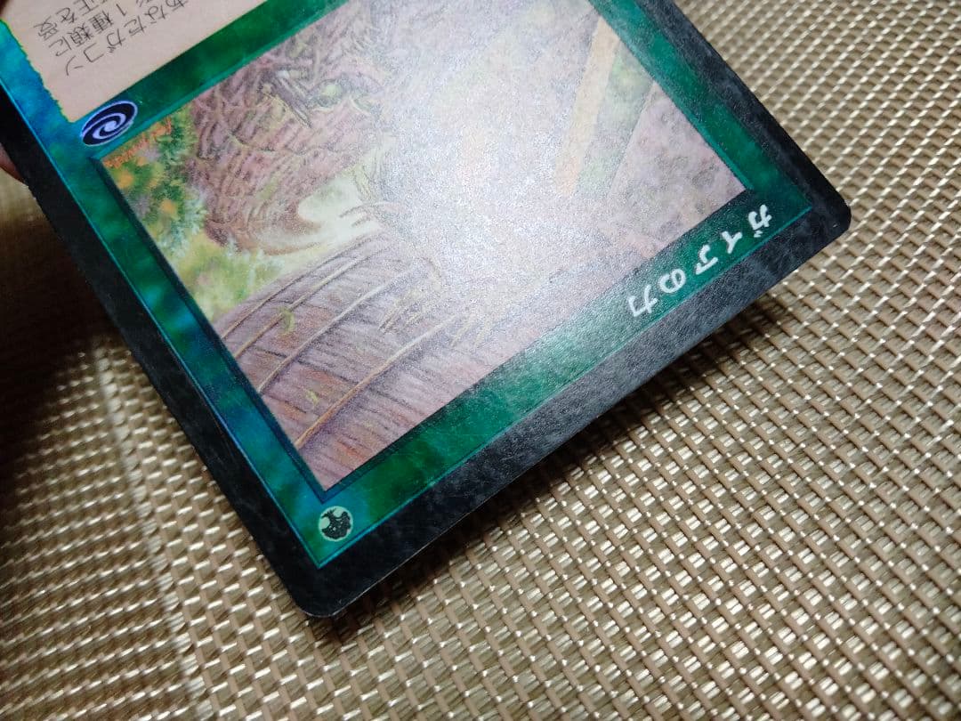 ご確認用】プレーンシフト foil ガイアの力 日本語 1枚 MTG - メルカリ