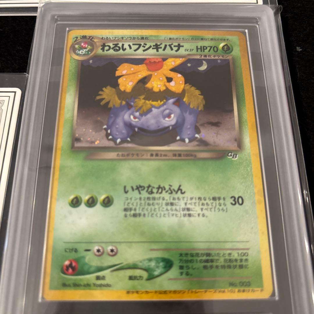 【ARS9】　わるいカメックス　わるいフシギバナ