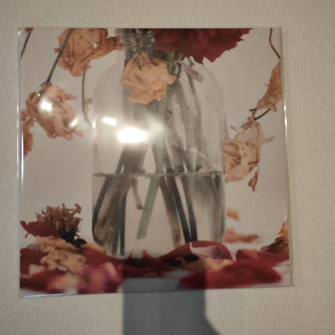 唾奇 武道館Camellia LP (2 vinyl set) - メルカリ