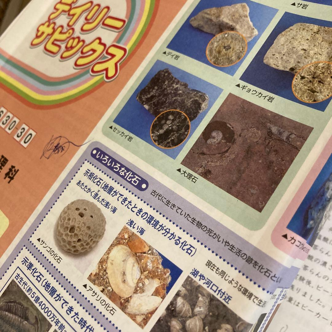 SAPIX 理科6年 後期 デイリーサピックス - メルカリ