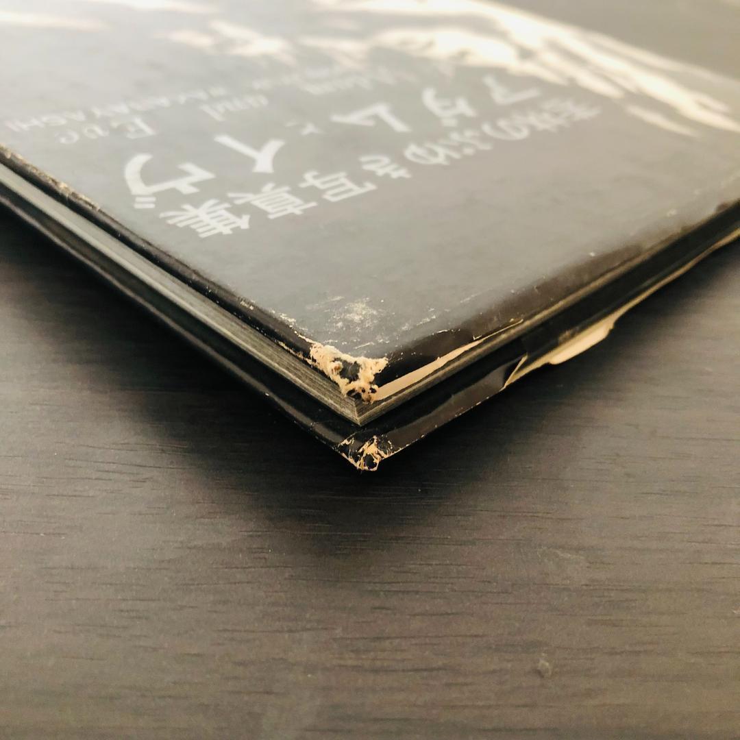 若林のぶゆき 写真集 セット アッ とびだした女たち アダムとイヴ