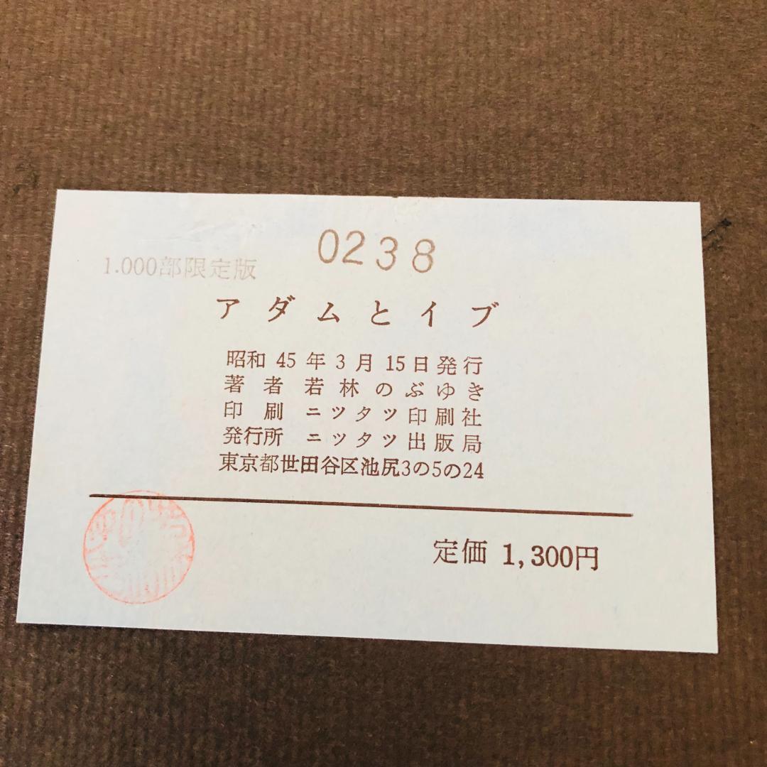 若林のぶゆき 写真集 セット アッ とびだした女たち アダムとイヴ