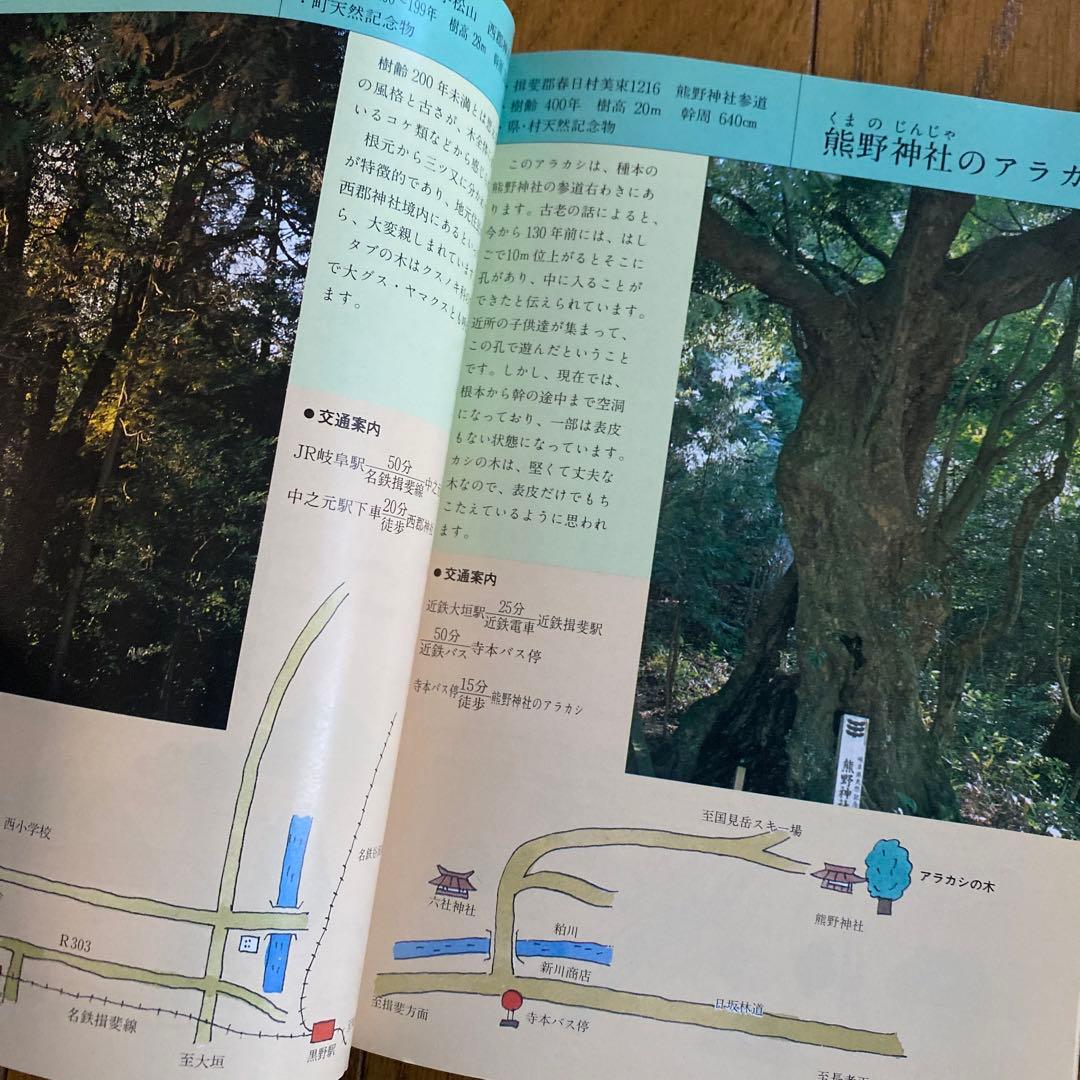 交渉中⚠️#484：ぎふの名山名木 岐阜の自然観察ガイドシリーズ①