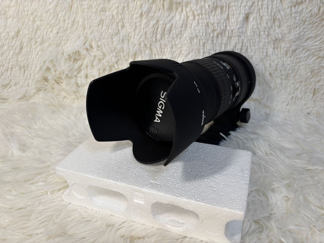 SIGMA シグマ APO 50-500mm F4.5-6.3 DG HSM