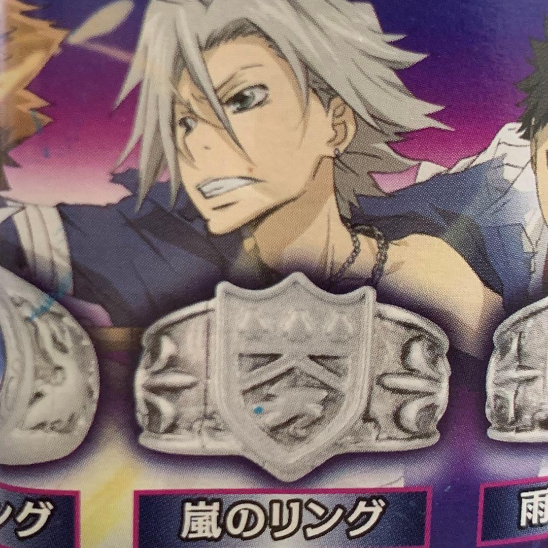 嵐 YUjIN 家庭教師ヒットマン REBORN! ボンゴレリングコレクション