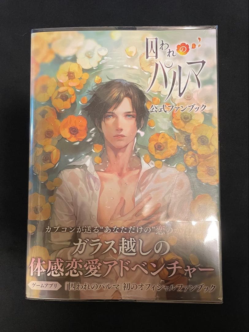 囚われのパルマ 公式ファンブック Amazon.co.jp: 囚われのパルマ 公式ファンブック eBook : ガールズ