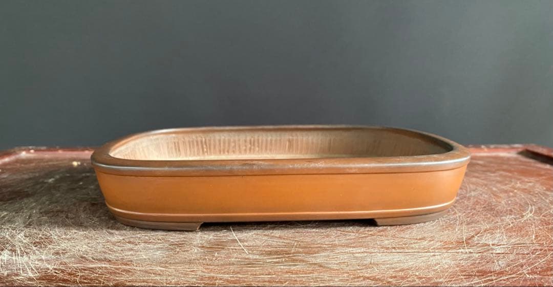 白木盆栽園 峰輝堂 盆栽鉢 横24.3センチ 鉢和鉢盆栽趣味陶器盆器植木鉢