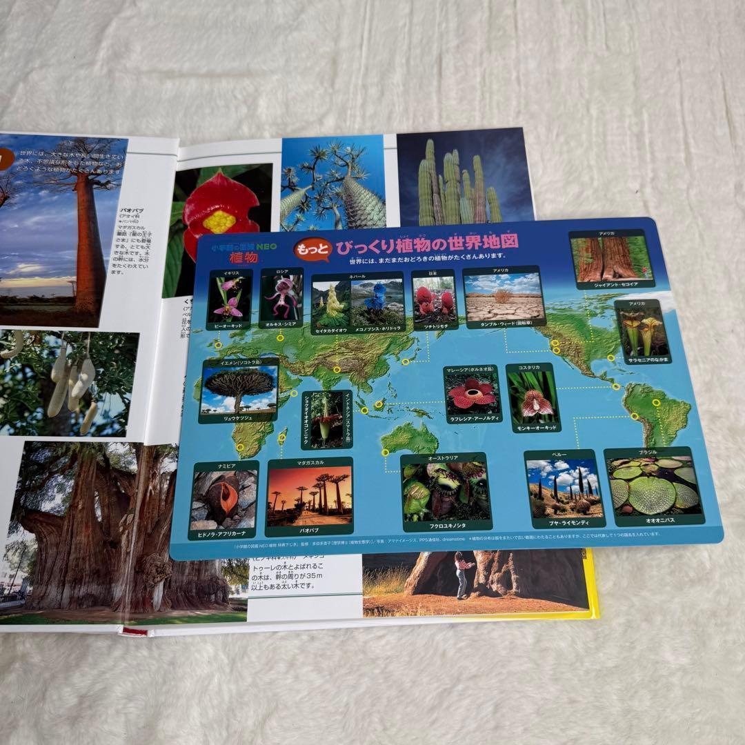 良品】小学館の図鑑NEO 全巻20冊セット （付録つき多数） - メルカリ